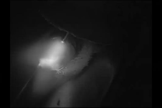 Aluminum GMAW with the MeltView® DART camera