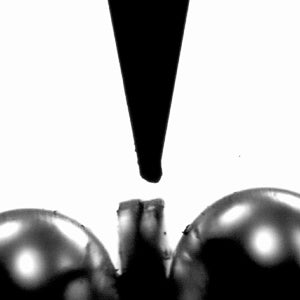 Camera for microwelding