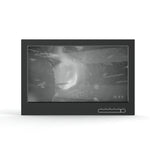 SDI monitor for direct display of PIXI and DART2 cameras